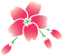 Pink flower icon